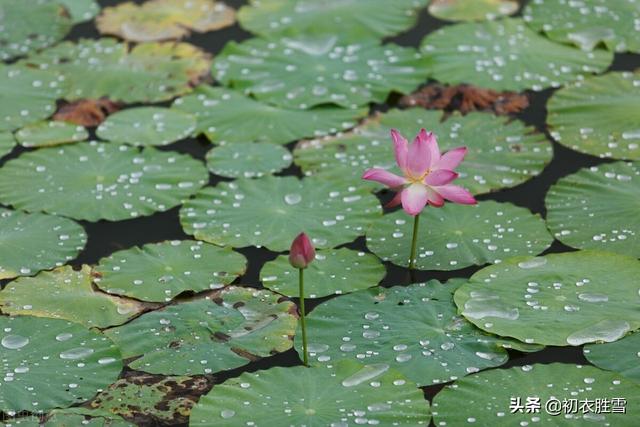 梅雨季节发朋友圈的句子 梅雨季节发朋友圈的句子