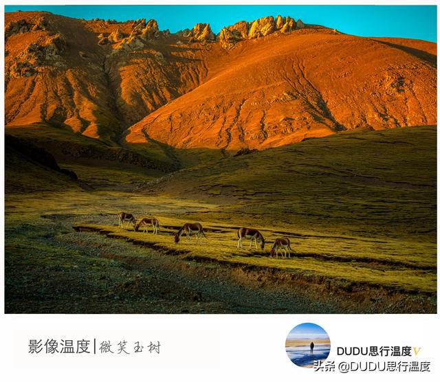 可可西里:美到窒息,留在心底,慢慢显影、永久保存