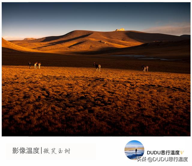 可可西里:美到窒息,留在心底,慢慢显影、永久保存