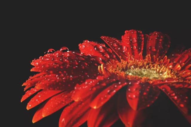季节变化时间短的句子 季节变化时间短的句子