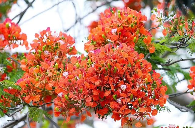 季节变化时间短的句子 季节变化时间短的句子
