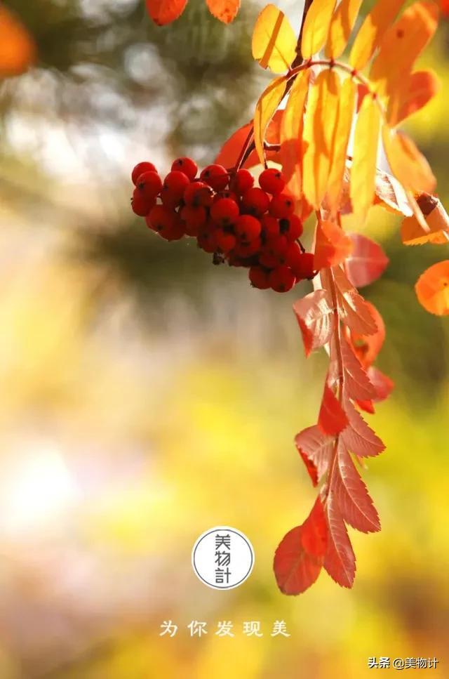 形容季节变幻的好句子 形容季节变幻的好句子