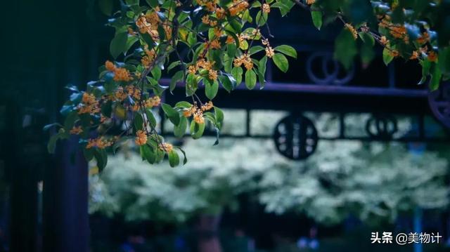 形容季节变幻的好句子 形容季节变幻的好句子