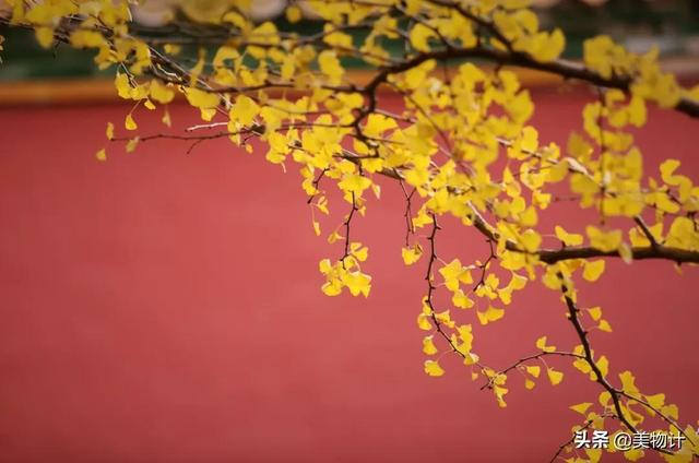 形容季节变幻的好句子 形容季节变幻的好句子