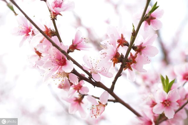 美文美句100字写景 美文美句100字写景