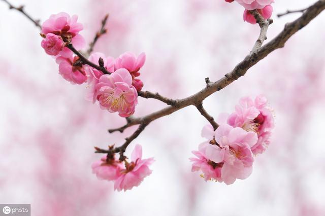 美文美句100字写景 美文美句100字写景