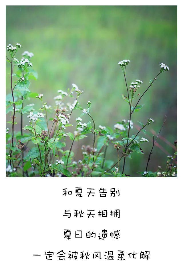 最喜欢的季节秋天句子 最喜欢的季节秋天句子