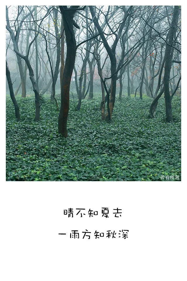 最喜欢的季节秋天句子 最喜欢的季节秋天句子