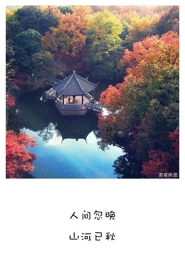 最喜欢的季节秋天句子 最喜欢的季节秋天句子