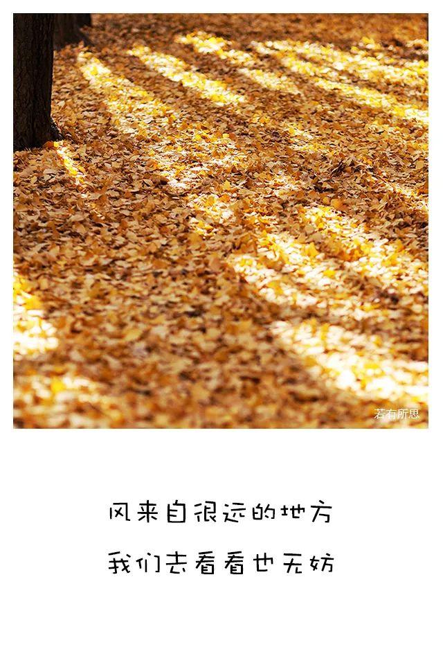 最喜欢的季节秋天句子 最喜欢的季节秋天句子