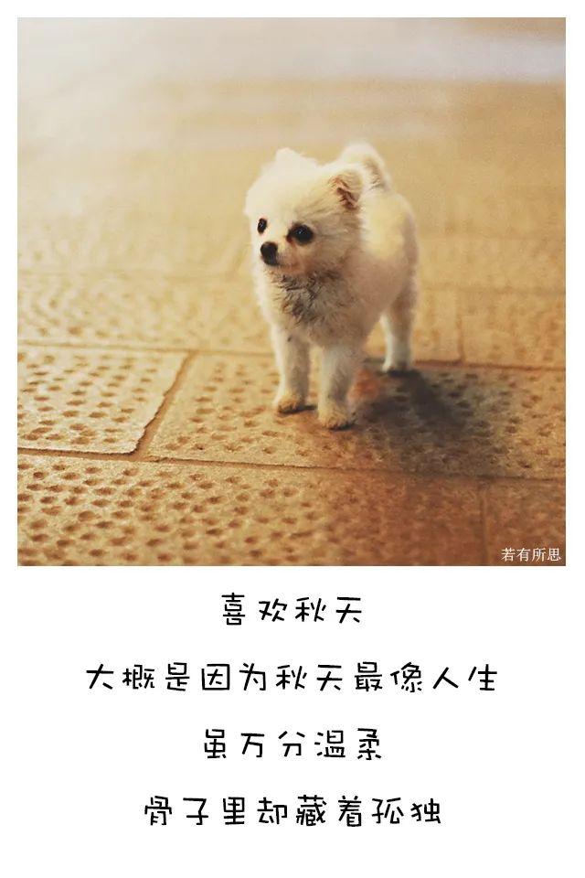 最喜欢的季节秋天句子 最喜欢的季节秋天句子