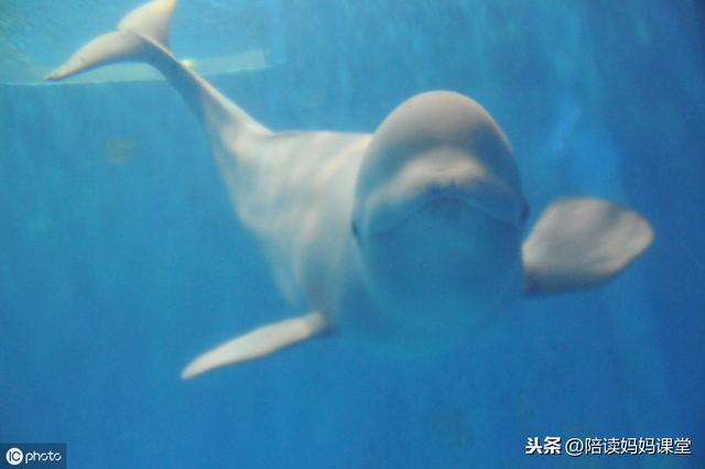 写作积累:100句经典名作最精华句子,值得收藏