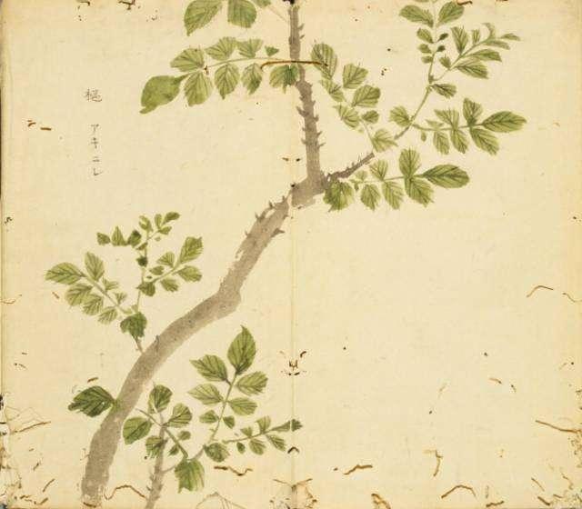 描写各种季节的句子摘抄10字 描写各种季节的句子摘抄10字