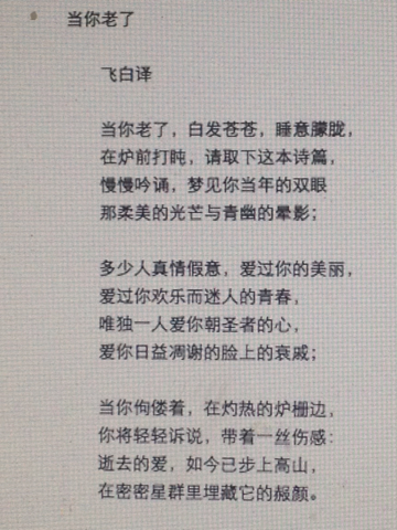 摘抄5篇精选美文(正能量的治愈系美文)