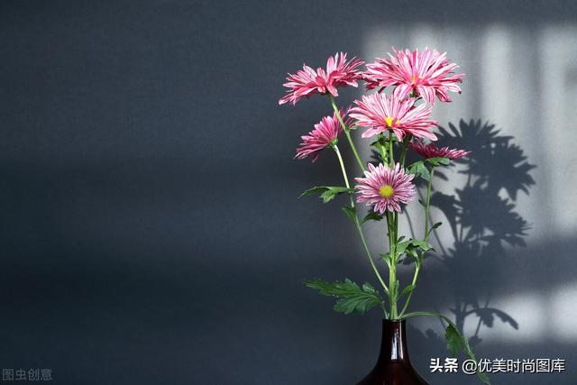 花开的季节适合发朋友圈的句子 花开的季节适合发朋友圈的句子