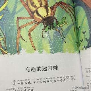 昆虫记美文美句摘抄 昆虫记美文美句摘抄