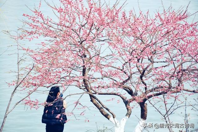 每个季节的美好的句子 每个季节的美好的句子