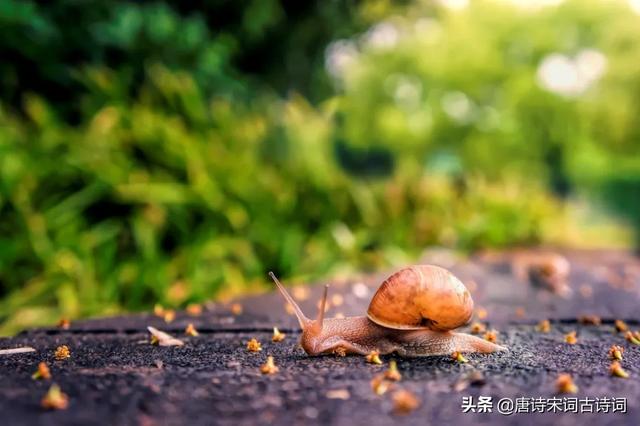 每个季节的美好的句子 每个季节的美好的句子