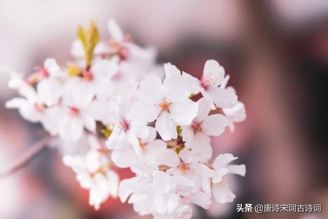 每个季节的美好的句子 每个季节的美好的句子