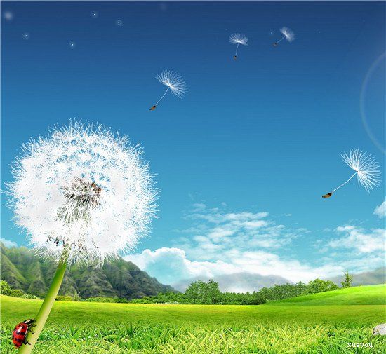 简短描写季节的优美句子_(不负春光的唯美句子)