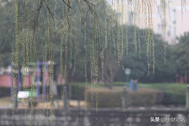 美文精选:雨从雾海中来
