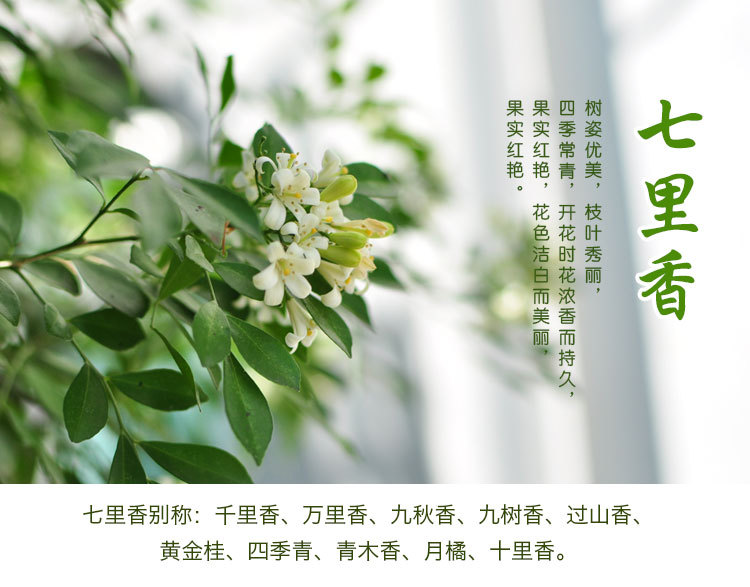 仿照下列描写冬天的句子写一写其他季节_(四个季节怎么写句子)
