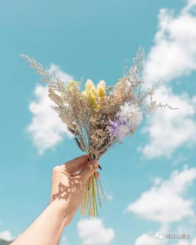 适合发朋友圈的句子美好生活的_(记录美好瞬间的文案)