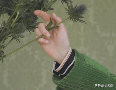 春暖花开季节的句子 春暖花开季节的句子