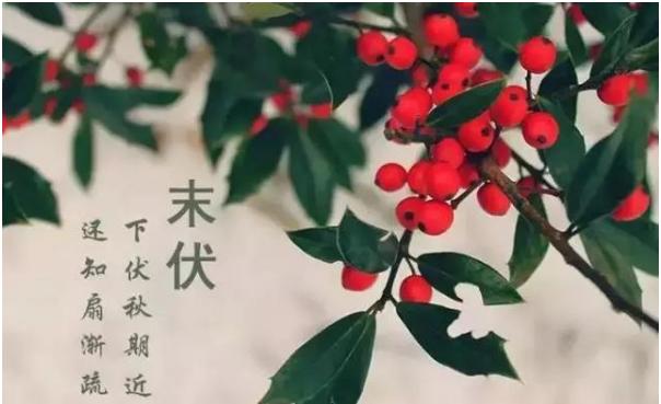 关于季节变换的优美句子 关于季节变换的优美句子
