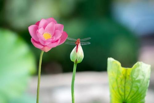 关于季节变换的优美句子 关于季节变换的优美句子