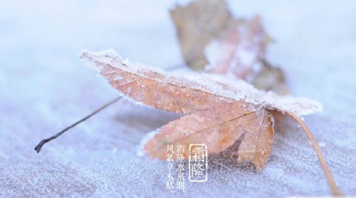 关于季节交替的句子_(描写下雪时变化的过程)