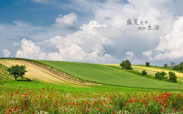 季节句子迷佳句欣赏 季节句子迷佳句欣赏