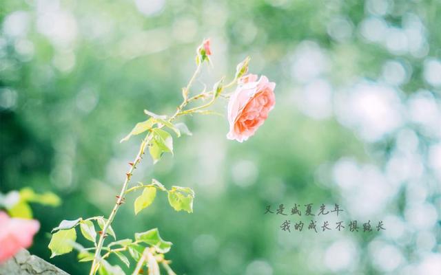 季节句子迷佳句欣赏 季节句子迷佳句欣赏