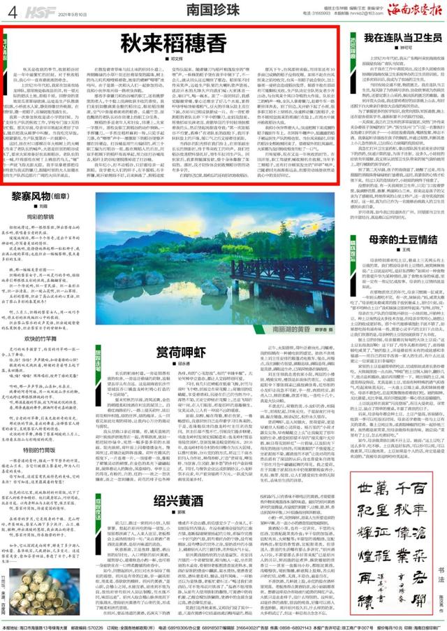 收获稻谷的季节的句子 收获稻谷的季节的句子