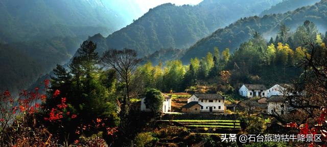 秋天是个丰收的季节围绕这句话写句子 秋天是个丰收的季节围绕这句话写句子