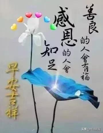 季节变化注意身体的句子 季节变化注意身体的句子