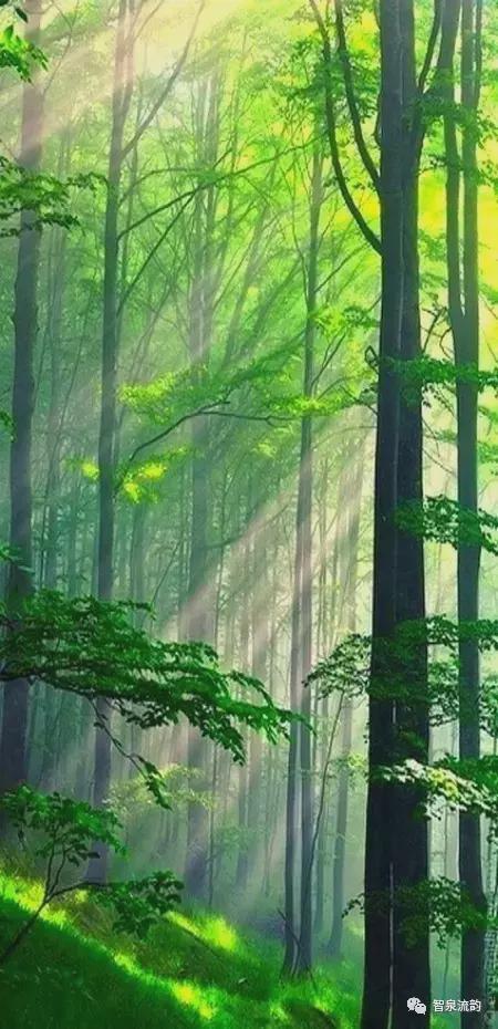 美文精选美段(心灵美文美图)