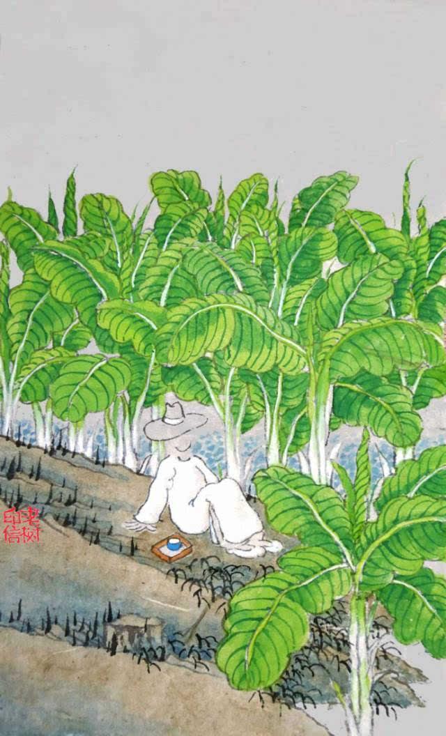 「美图美文欣赏」老树画画最走心的50幅