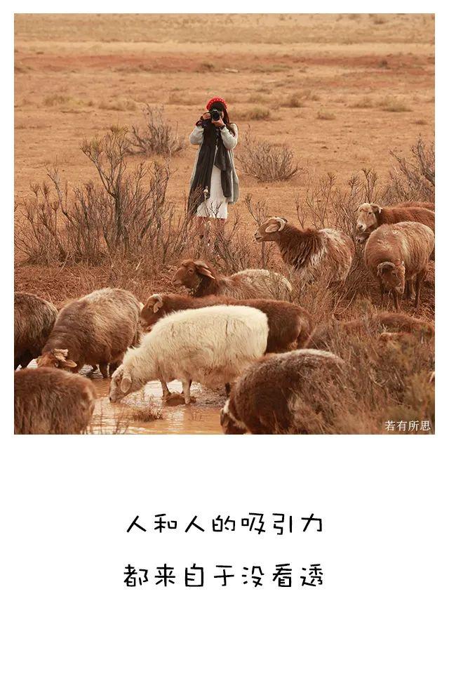 最喜欢的季节秋天句子 最喜欢的季节秋天句子