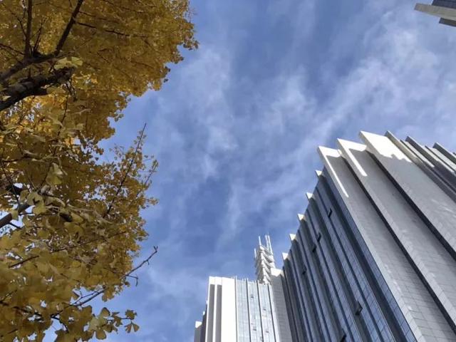 绿树红花艳阳天 大雪节气昆明暖暖的