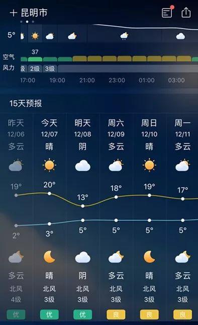 绿树红花艳阳天 大雪节气昆明暖暖的