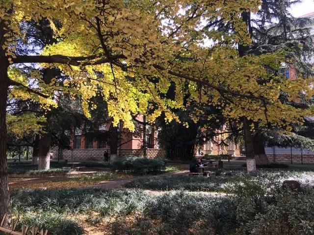 绿树红花艳阳天 大雪节气昆明暖暖的