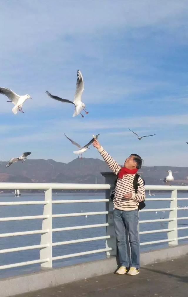 绿树红花艳阳天 大雪节气昆明暖暖的