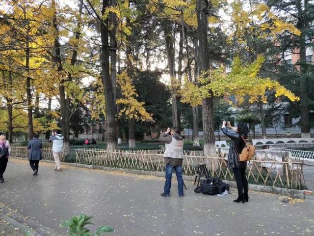 绿树红花艳阳天 大雪节气昆明暖暖的