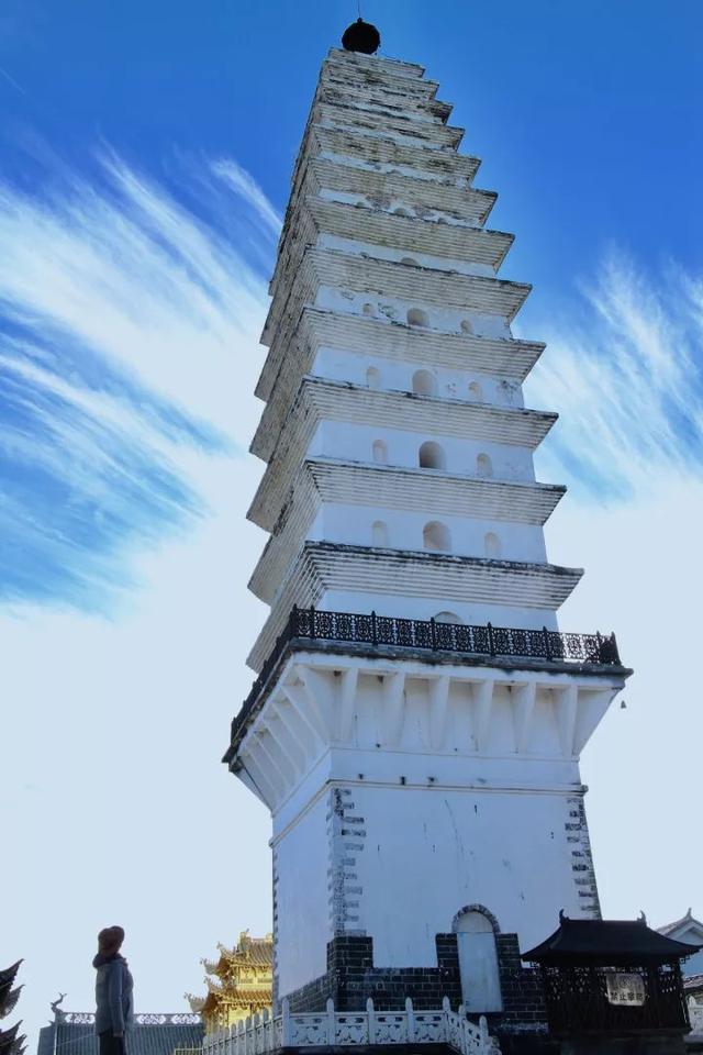绿树红花艳阳天 大雪节气昆明暖暖的