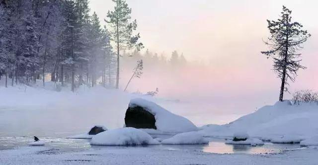 绿树红花艳阳天 大雪节气昆明暖暖的