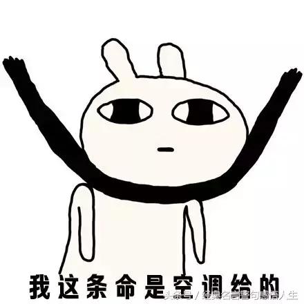 用一句话形容天气很热，经典图片神回复