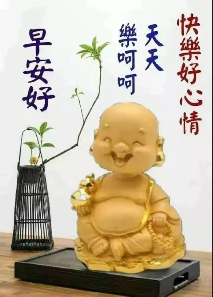 周末清晨早上好问候语精美句子早上好图片表情大全-句子橘