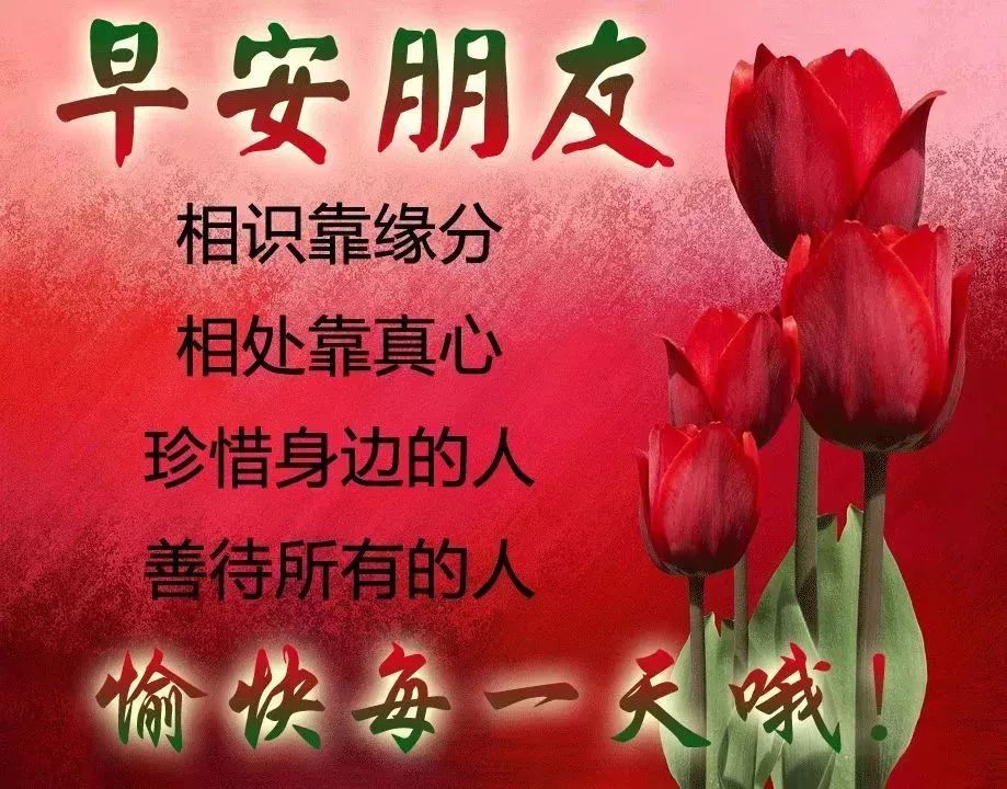早上好的问候语阳光句子早晨好表情图片祝福-句子橘 早上好的问候语阳光句子早晨好表情图片祝福-句子橘