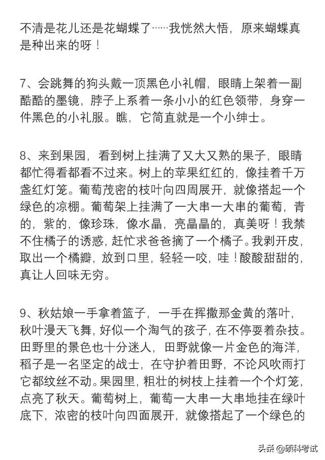 二年级简单优美的词语和句子 二年级简单优美的词语和句子